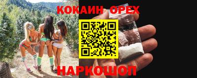 прущие грибы Будённовск