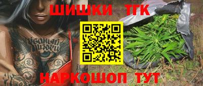 прущие грибы Будённовск