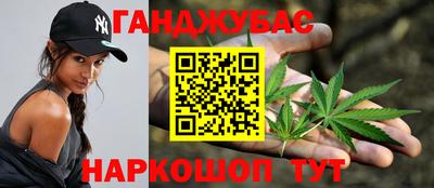 прущие грибы Будённовск