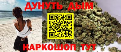 прущие грибы Будённовск