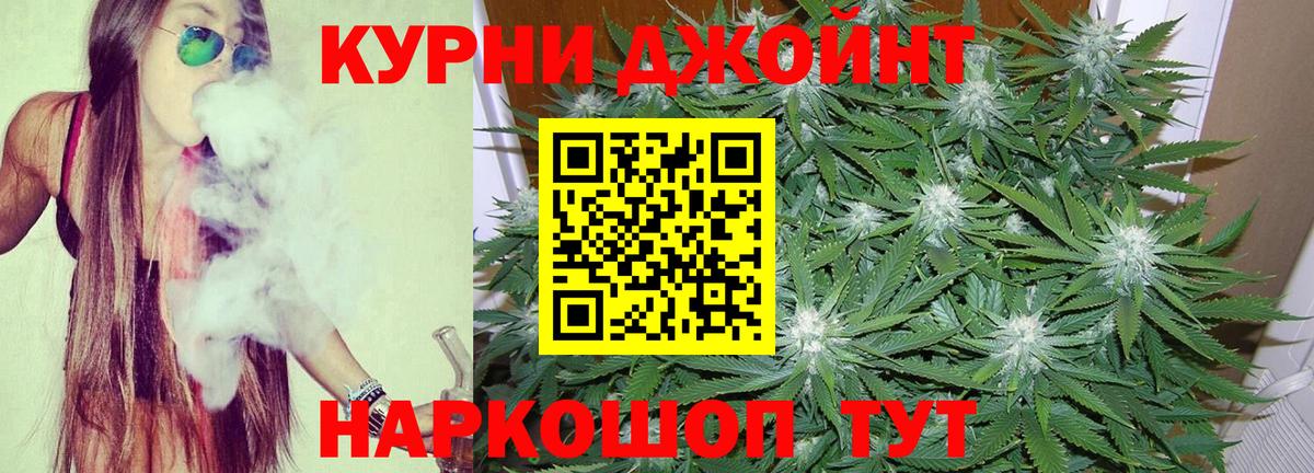 Конопля OG Kush  Марихуана индика  Кувандык  Вход с VPN  МАРИХУАНА SATIVA & INDICA 